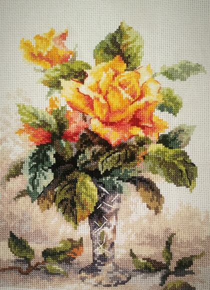 Жёлтые розы