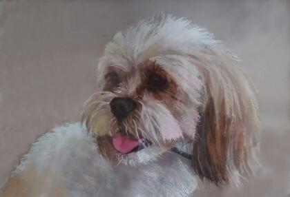 Знакомый песик,