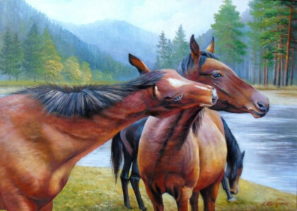 У реки Катунь