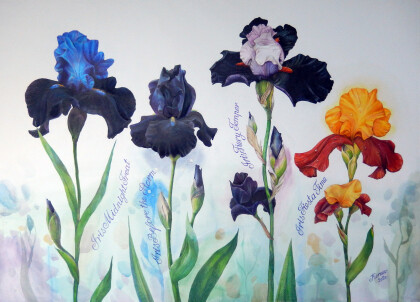 Три черных ириса