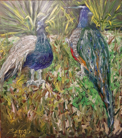 Птицы Эдема