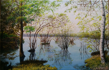 Весеннее половодье. Лемболово.