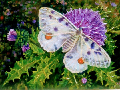 Аполлон на чертополохе