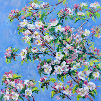 Яблоневого цвета кружева