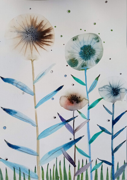 Одуванчики