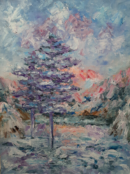 Северные миражи