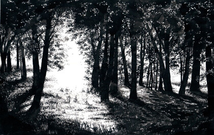 Солнечная поляна