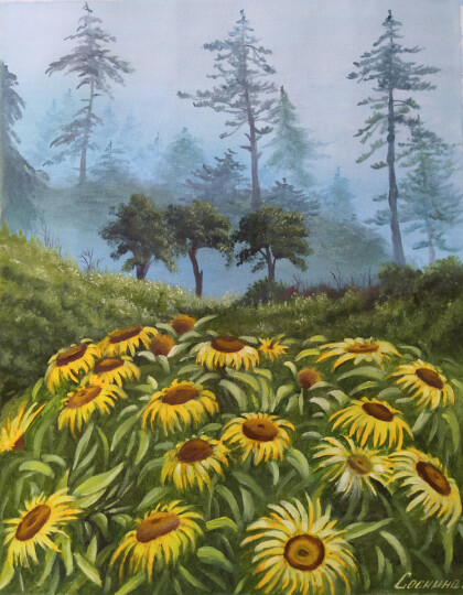 Цветы в туманном лесу.