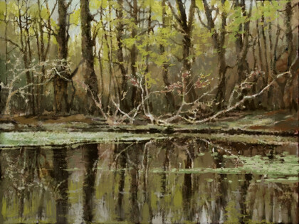 У лесного озера.