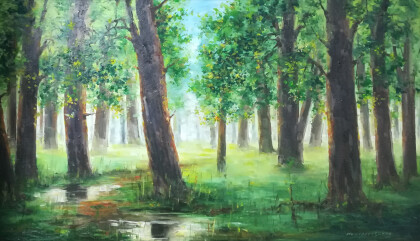 Дубовая роща после дождя