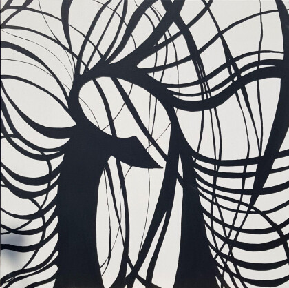 Трансформация: Начало