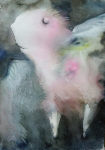 Розовый мечтатель