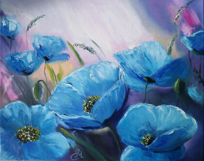 Голубые маки