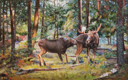 В заповедных местах