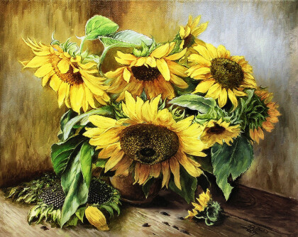 Подсолнухи