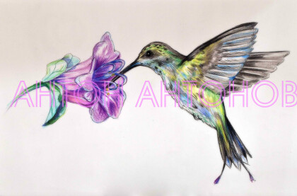 Лиловая Принцесса