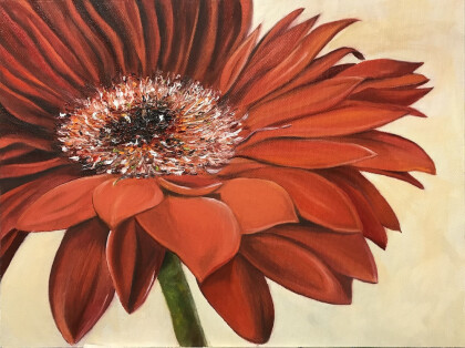 Большая гербера