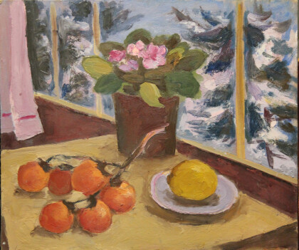 Зима за окном