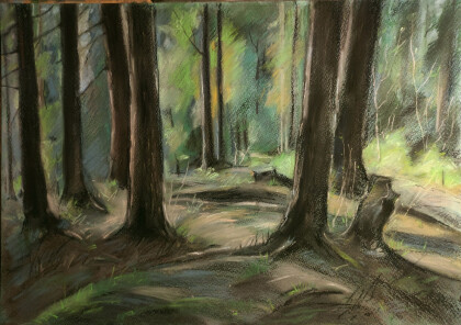 Таинственный лес