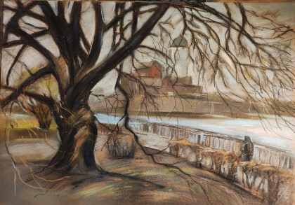 Вопреки ненастью