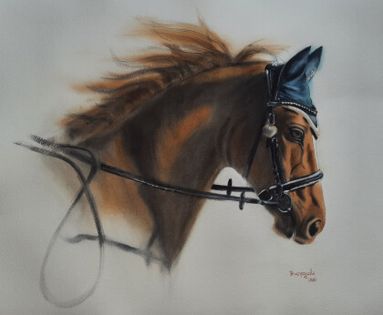 На прогулке