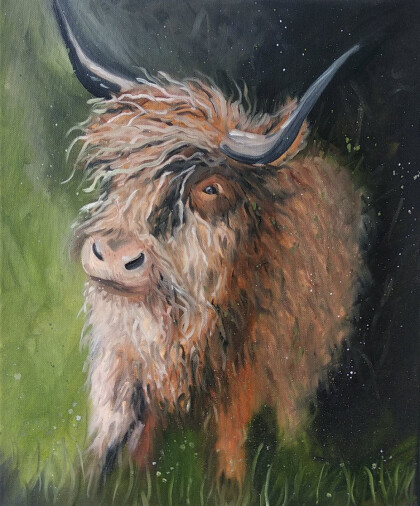 Северная корова