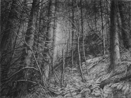 кабанятник