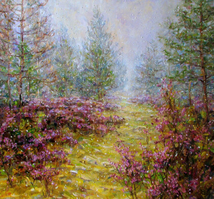 Багульник под снегом.