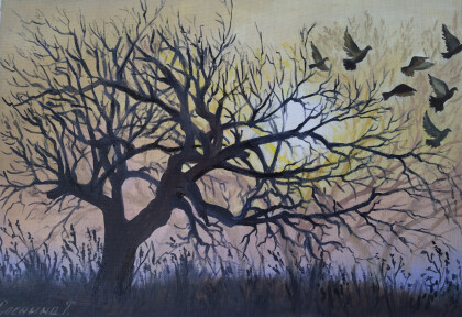 Голуби  на закате солнца.