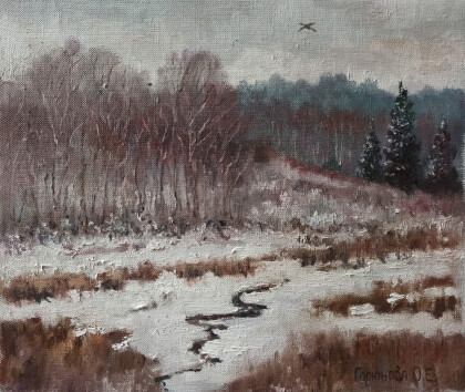 Январь в Жестылево