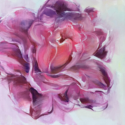 Пион розовый