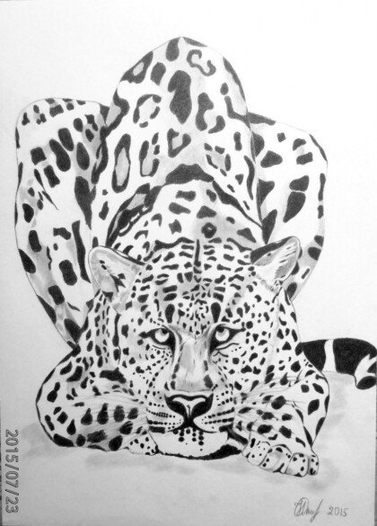 Моя любимая кошка.