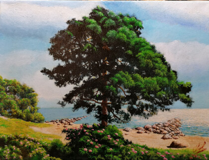 Прибрежных шиповник