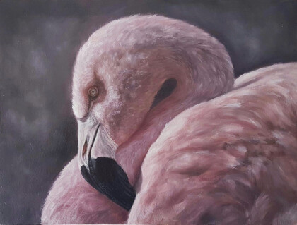 Фламинго
