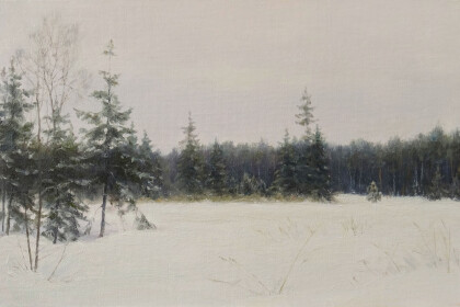 Пасмурный день