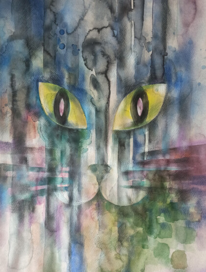 Наблюдение