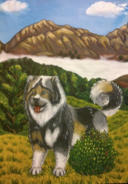 Кавказская овчарка.