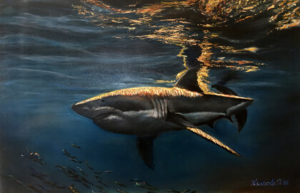 Морская царица акула