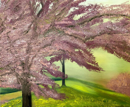 Цветущее дерево. Весна.