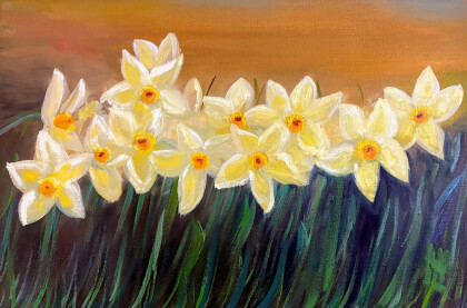 Нарциссы