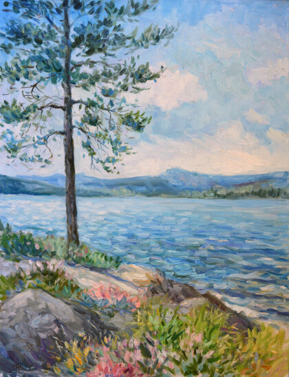 Сосна на берегу озера