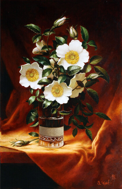 Розы чироки