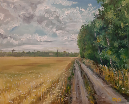 Дорога домой