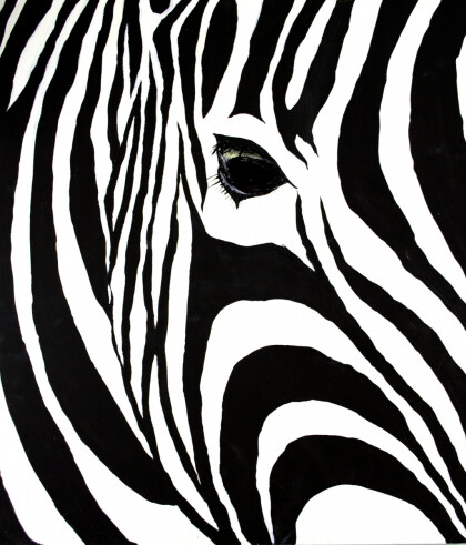 Зебра
