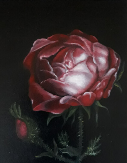 Красная роза