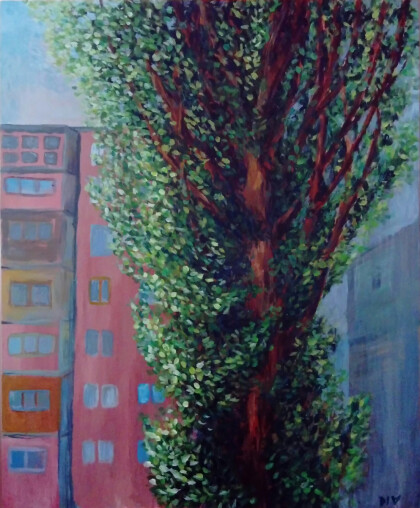 Тополь за окном