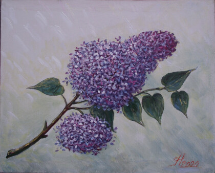 Ветка сирени.