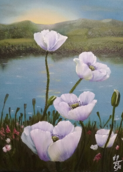 Маки на рассвете