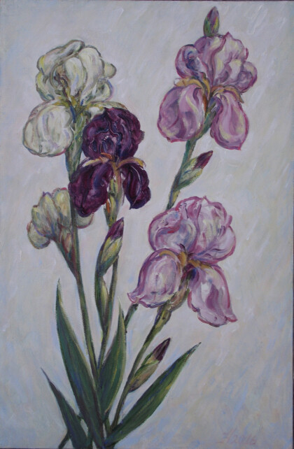 Ирисы.