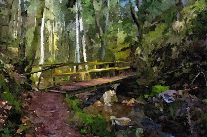 У лесного ручья.